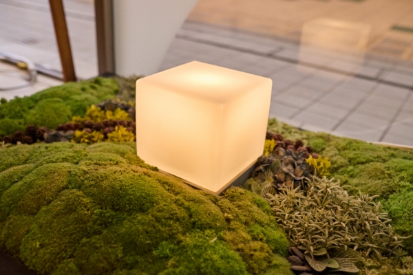 こまき歯科医院